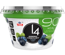 14 gresk yoghurt