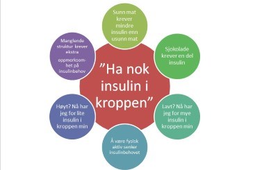 Insulin i kroppen