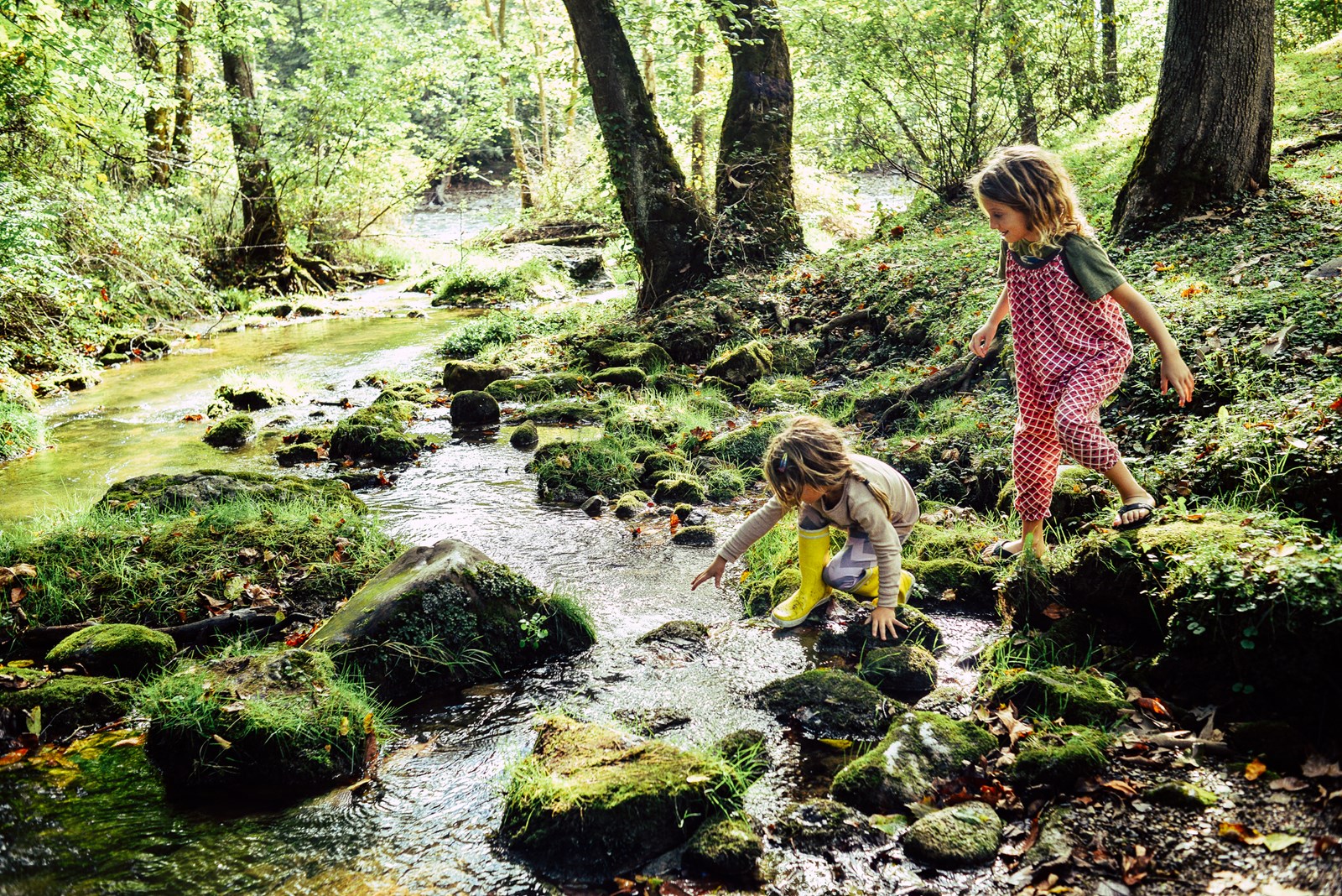Barn leker ved bekk i skogen
